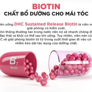 DHC Combo Viên Kẽm, Kích Mọc Tóc Biotin 30 Ngày Nhật Bản 6 vien uong dhc biotin ngan rung toc 30 ngay 30 vien 4